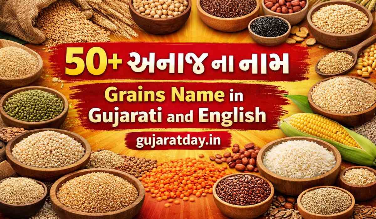 50+ અનાજ ના નામ ગુજરાતીમાં Grains Name in Gujarati and English