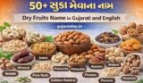 50+ સૂકા મેવા ના નામ | Dry Fruits Name in Gujarati and English