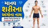 માનવ શરીરના અંગોના નામ | Body Parts Name In Gujarati and English